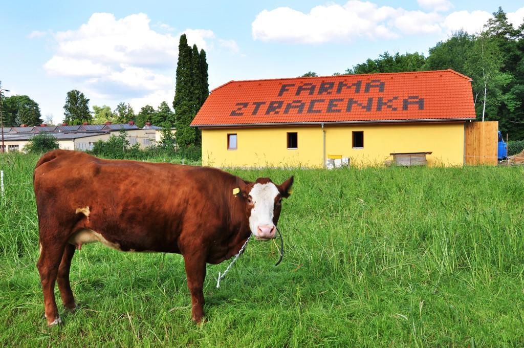 Farma Ztracenka Otel Porici nad Sazavou Dış mekan fotoğraf