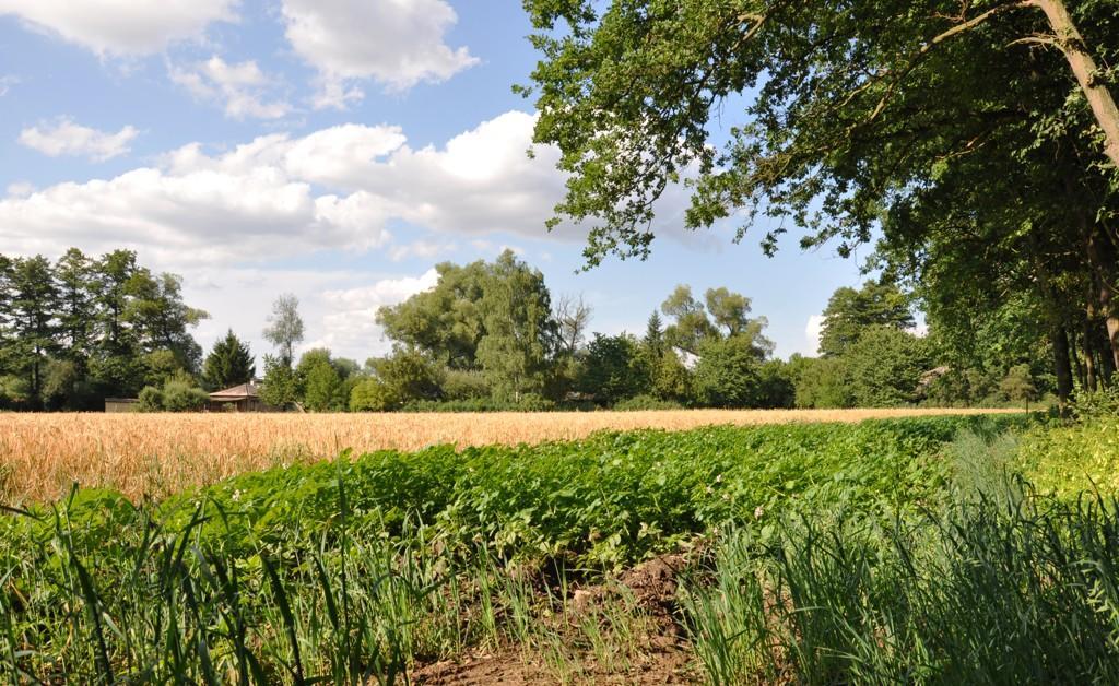 Farma Ztracenka Otel Porici nad Sazavou Dış mekan fotoğraf