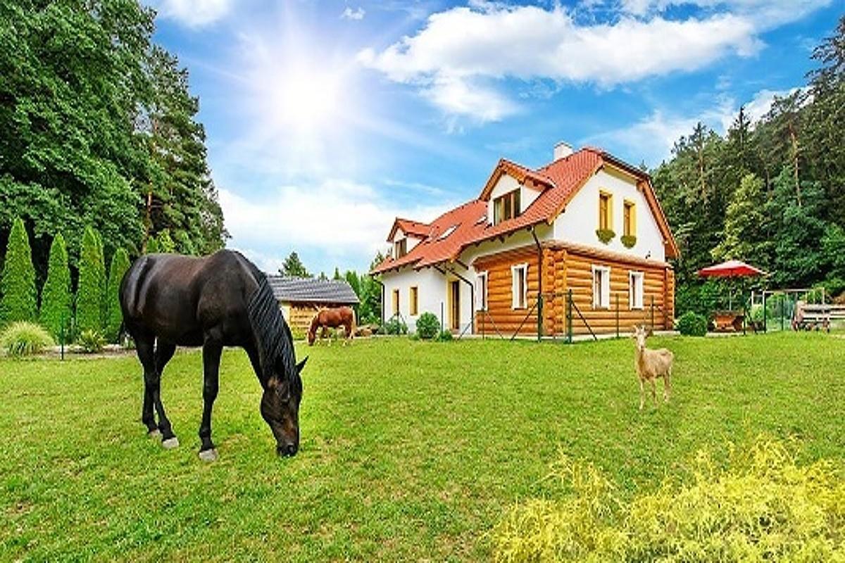 Farma Ztracenka Otel Porici nad Sazavou Dış mekan fotoğraf